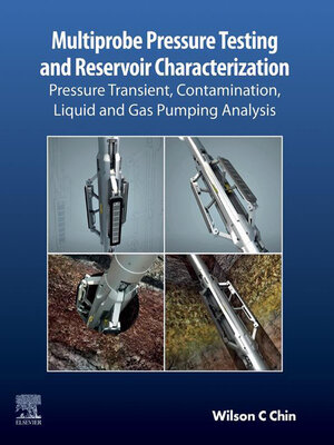 cover image of Multiprobe Pressure Testing and Reservoir Characterization